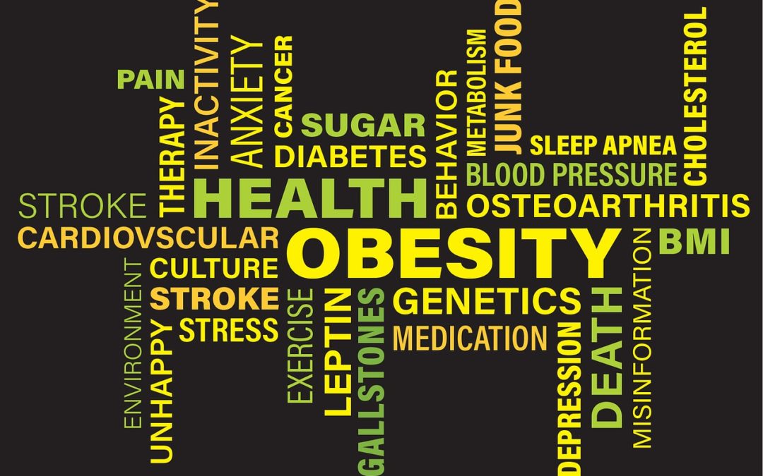 « L’obésité : Une question de santé publique, pas de responsabilité personnelle »